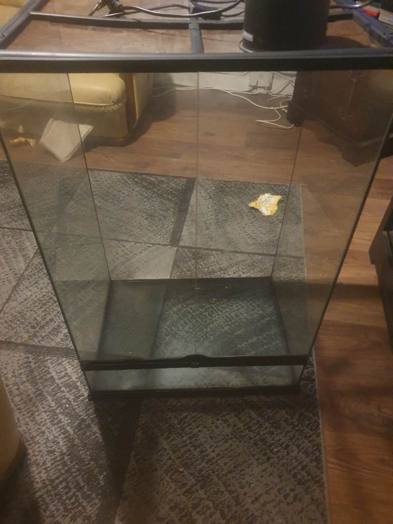 Extra large glass reptile tank