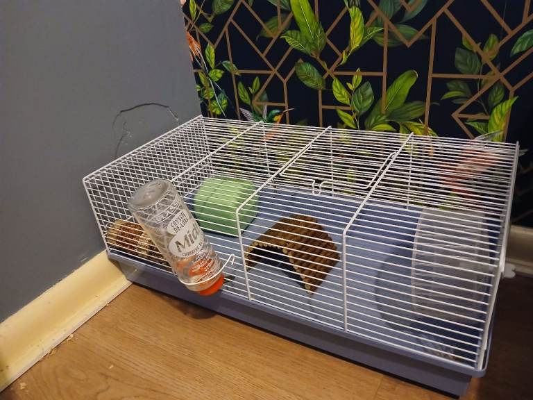 Hammster / small animal cages 