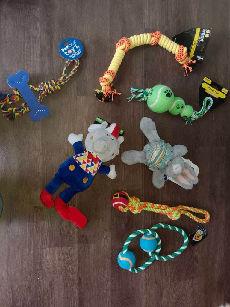 Dog toys 