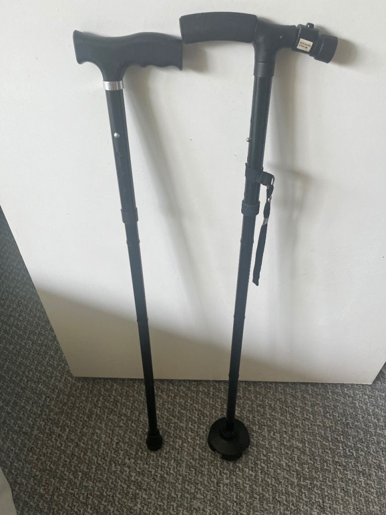 Walking Sticks. New 