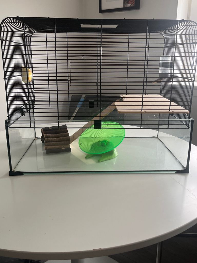 Glass/cage enclosure 