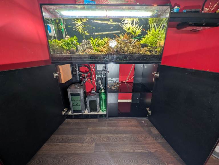 4ft 250L planted tropical aquarium full setup OR fish only