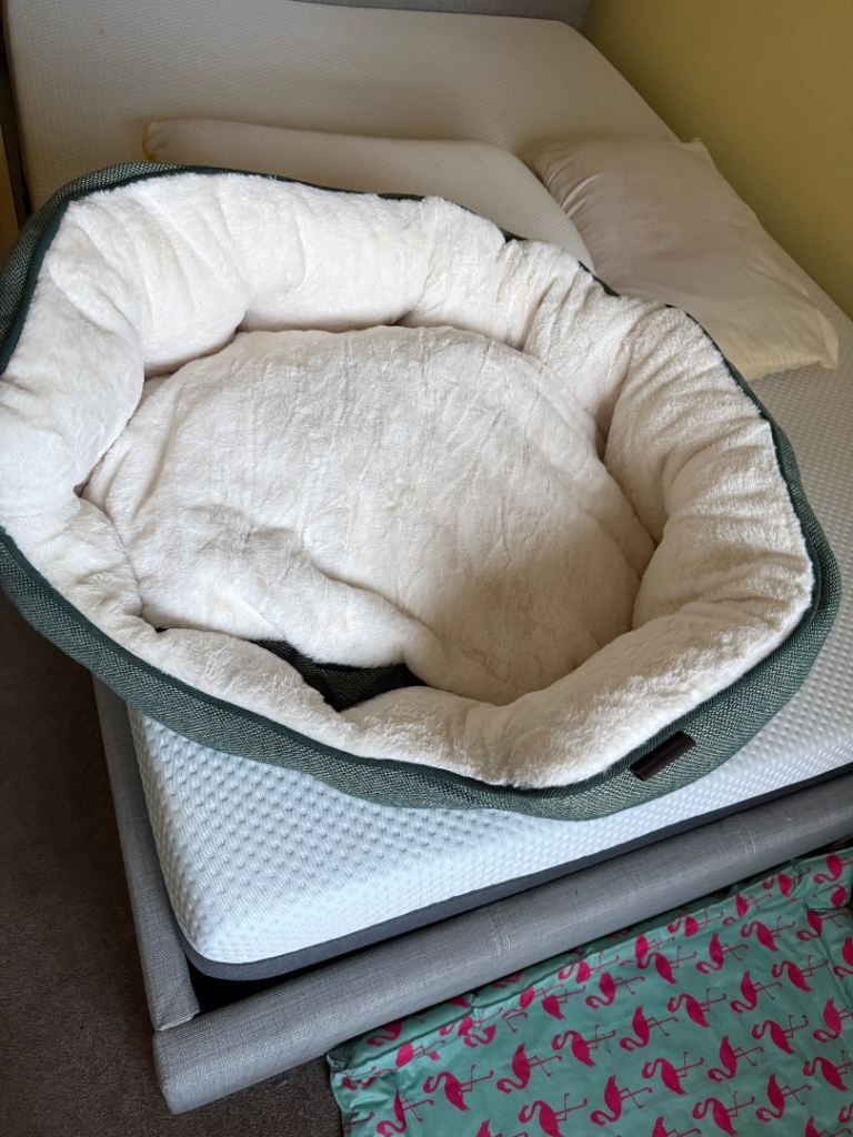 Brand new dog bed 