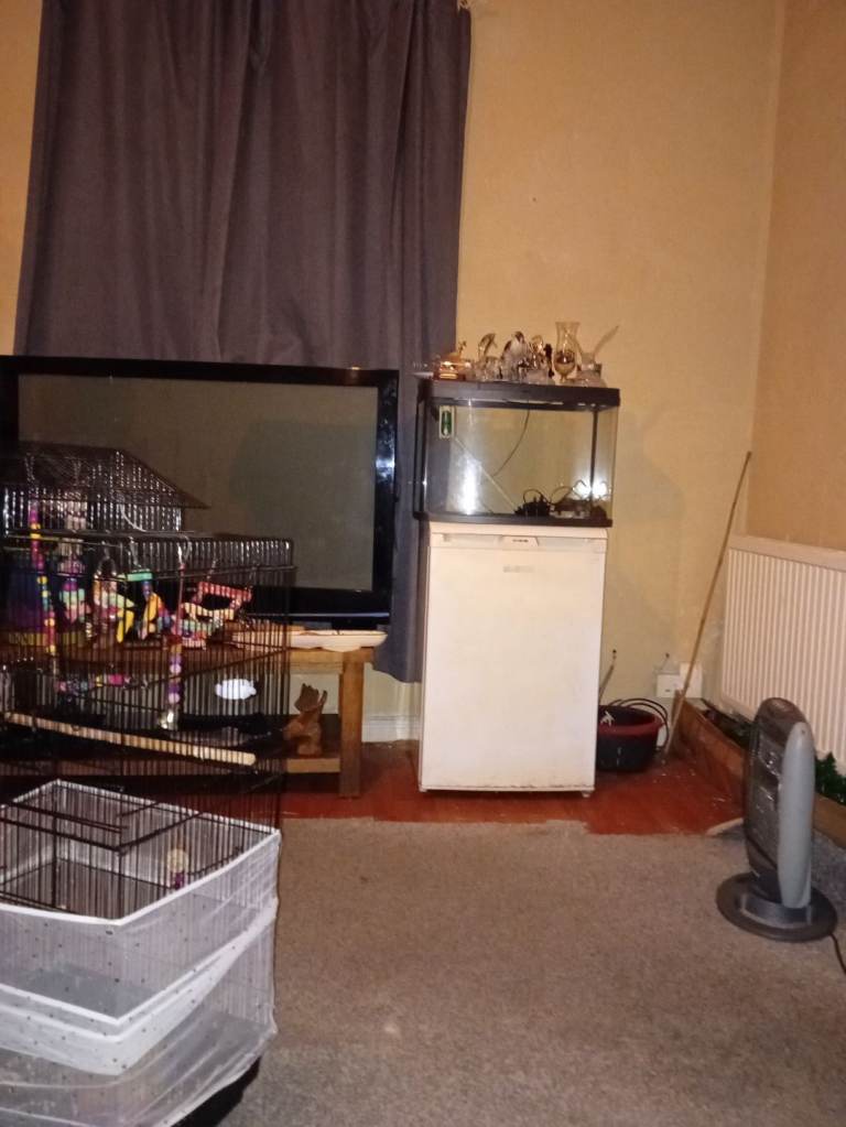 Fish tank with all accesories