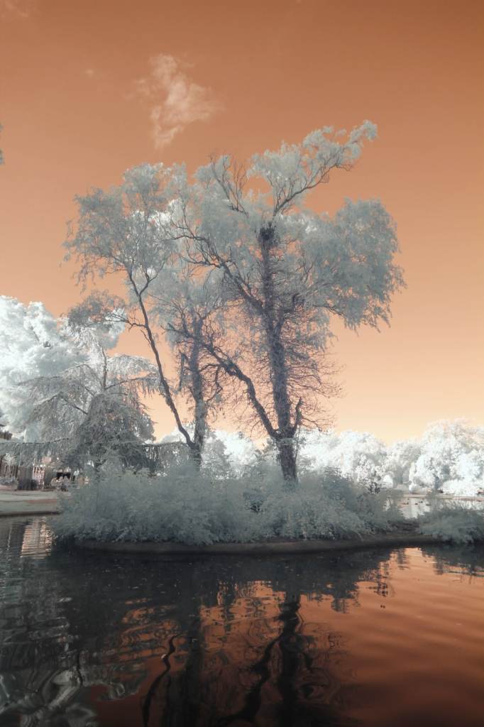 image for IR CONVETED CANON DCLR