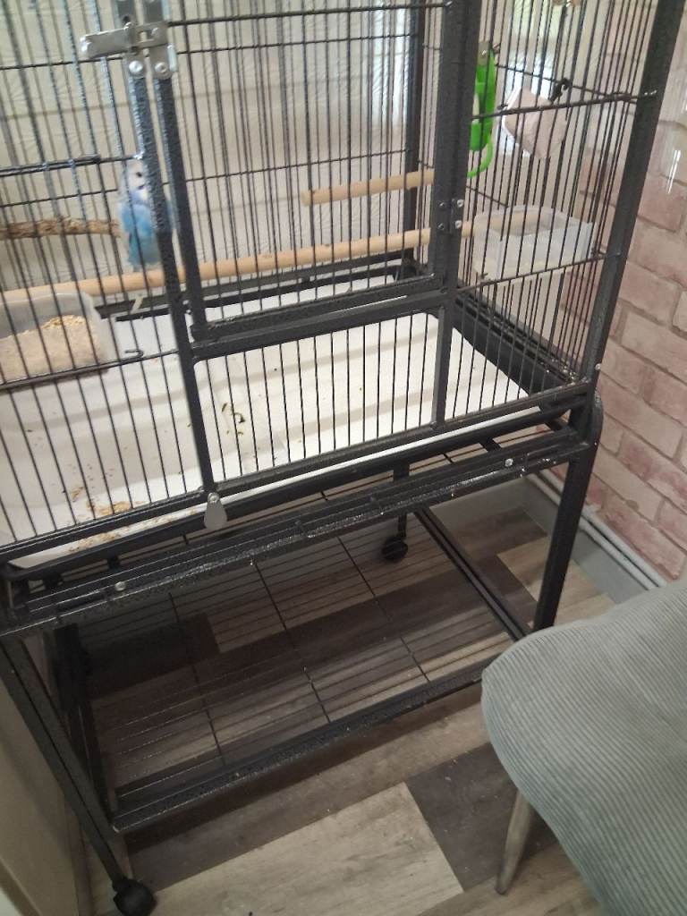 image for Large bird cage