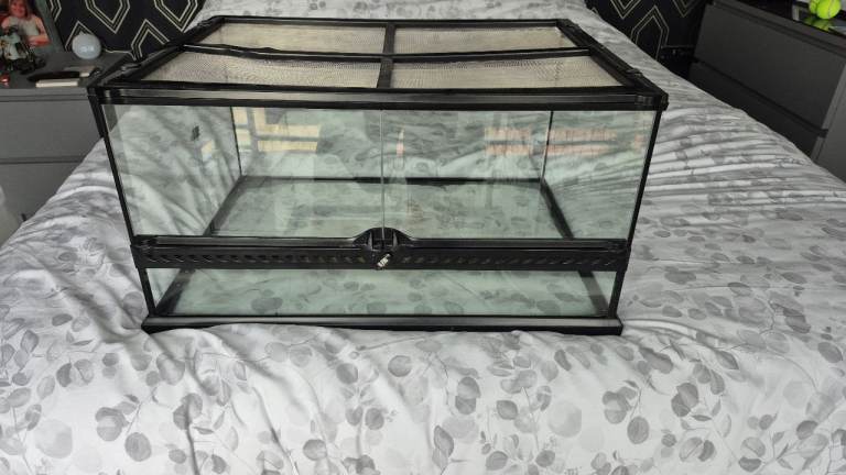 Tortoise Glass enclosure 