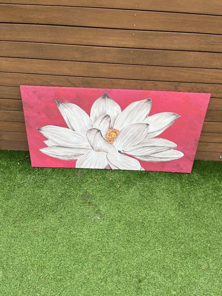 Free to a good home 