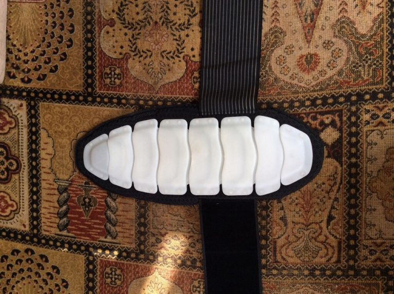 Dainese back protector VGC