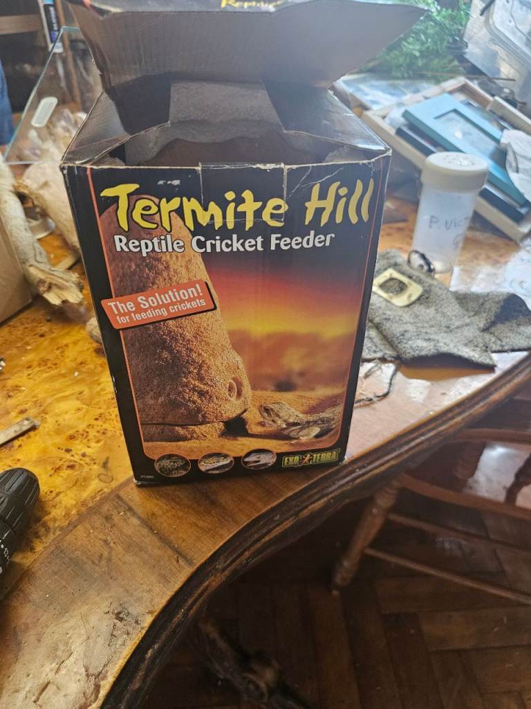 Termite hill