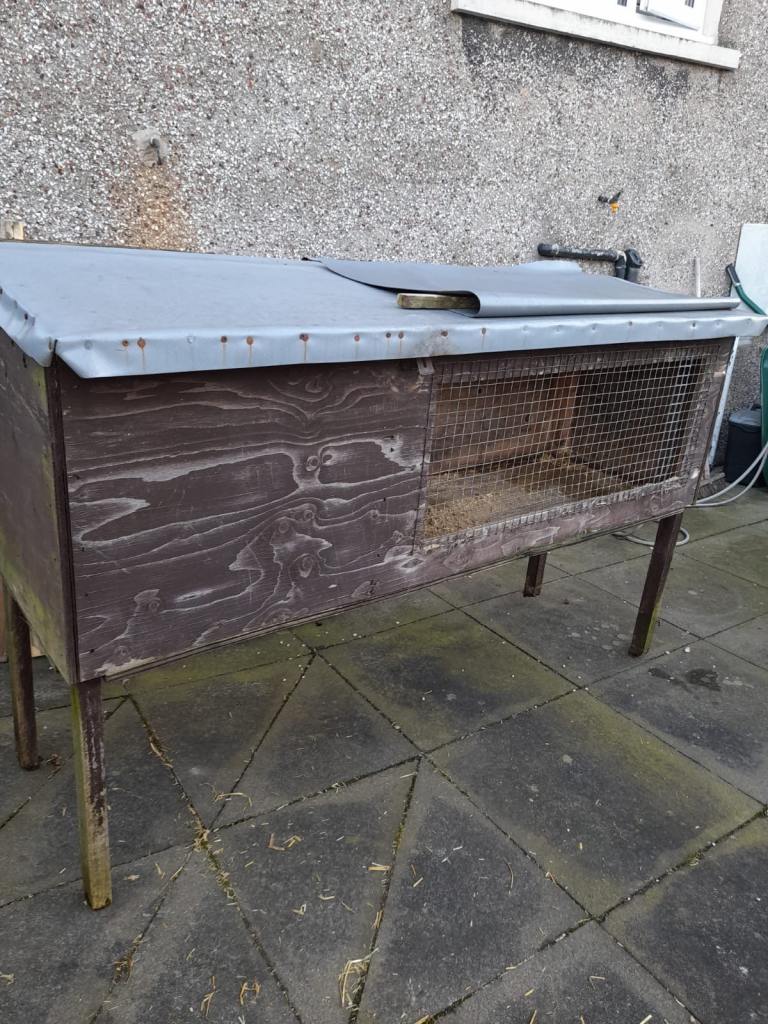 Ferret Hutch and Run