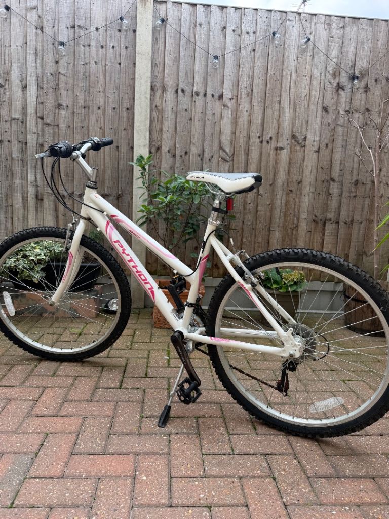 Python Teenage Mountain Bike 
