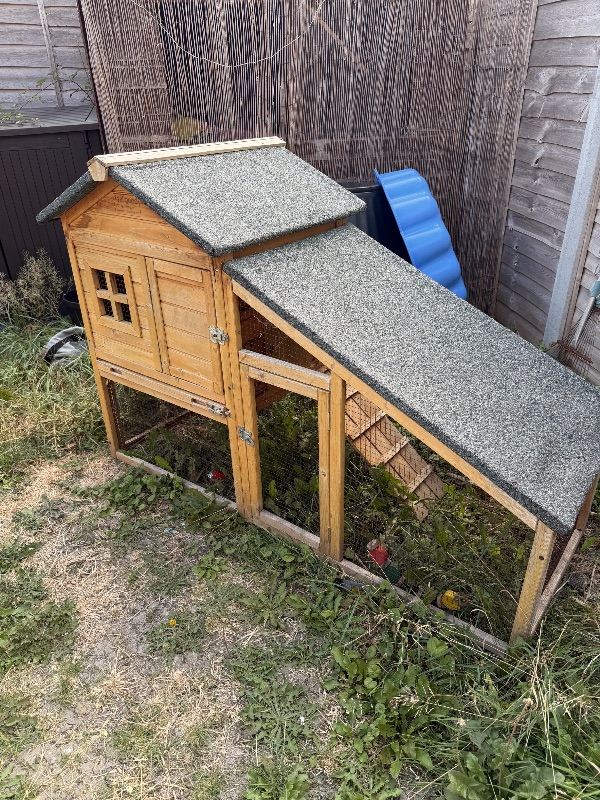 guinea pig hutch 