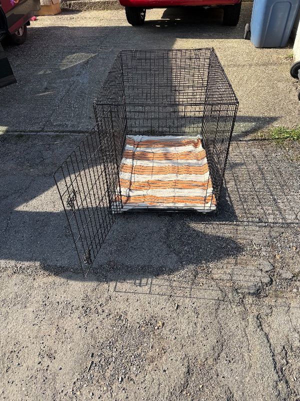 Large dog crate