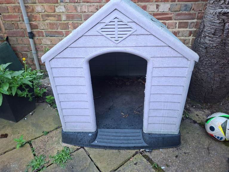 Dog House
