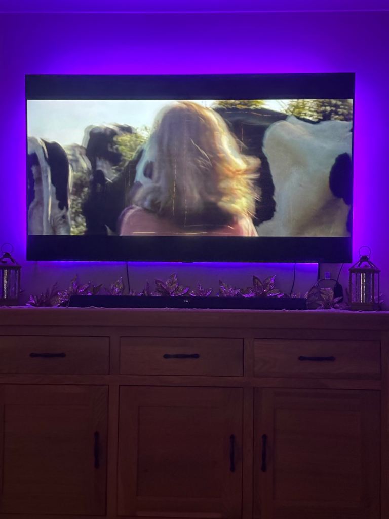 Samsung smart tv 65” 