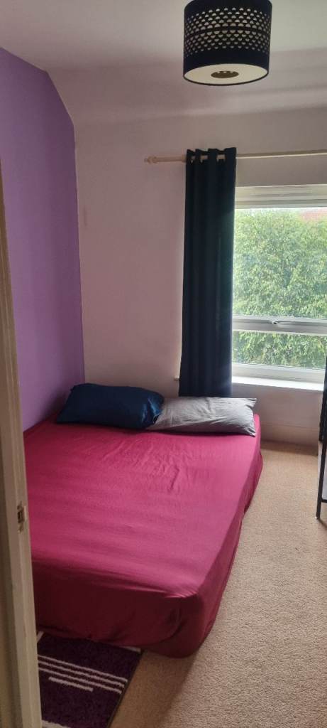 Room available for lodger 
