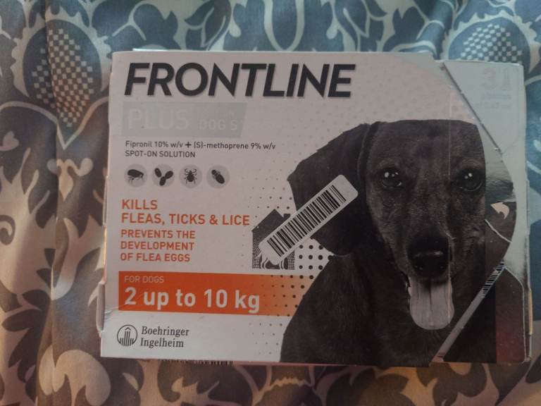 1 pipette Frontline Plus for Dogs 2kg to 20kg