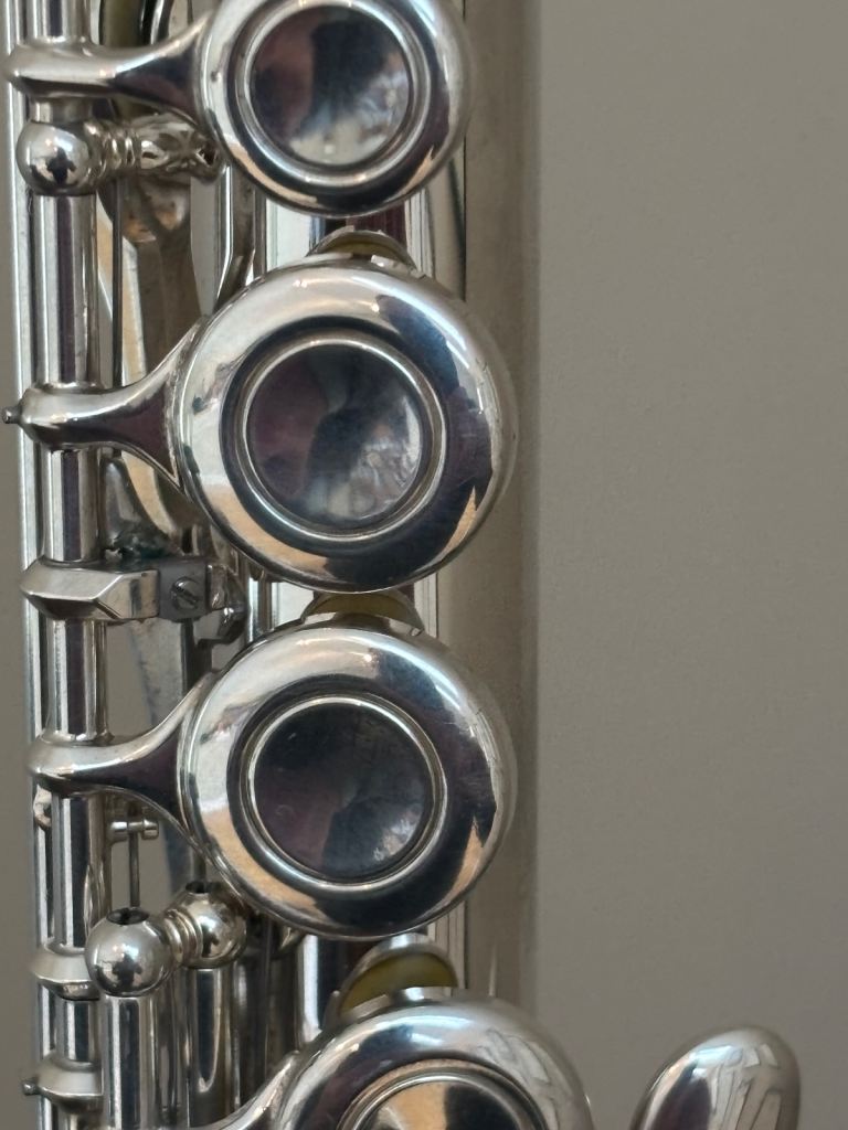 Yamaha flute | in Comber, County Down | Gumtree