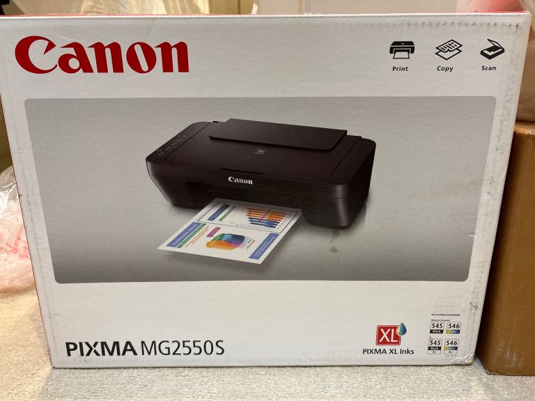 Canon Printer & Scanner Pixma mg2550s