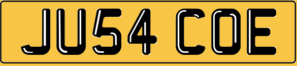 COE Number Plate JUSt 4 COE Colin Carter Oscar Chloe Chris Olivia EVANS EDWARDS