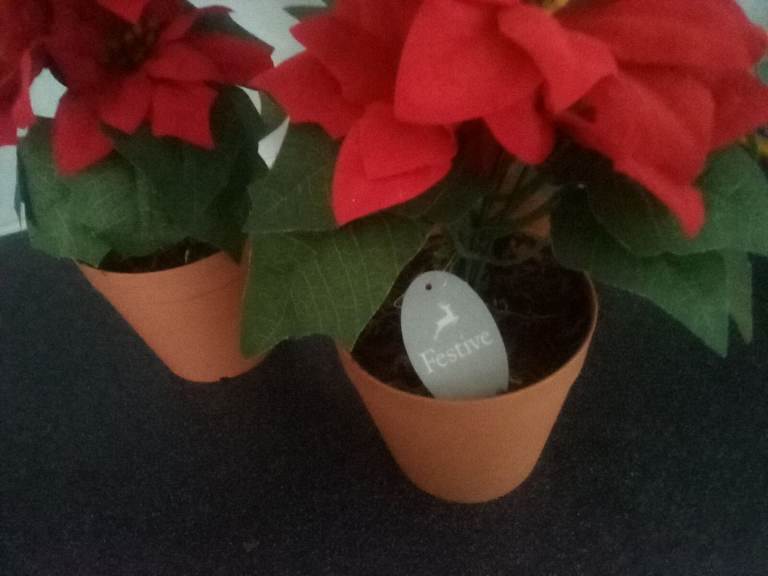 Brand new artificial Poinsettia plants, really gives festive feeling quickly and easily