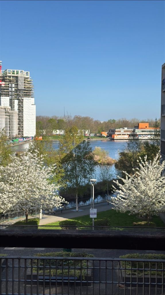 3 bedroom flat in SE2 for exchange 