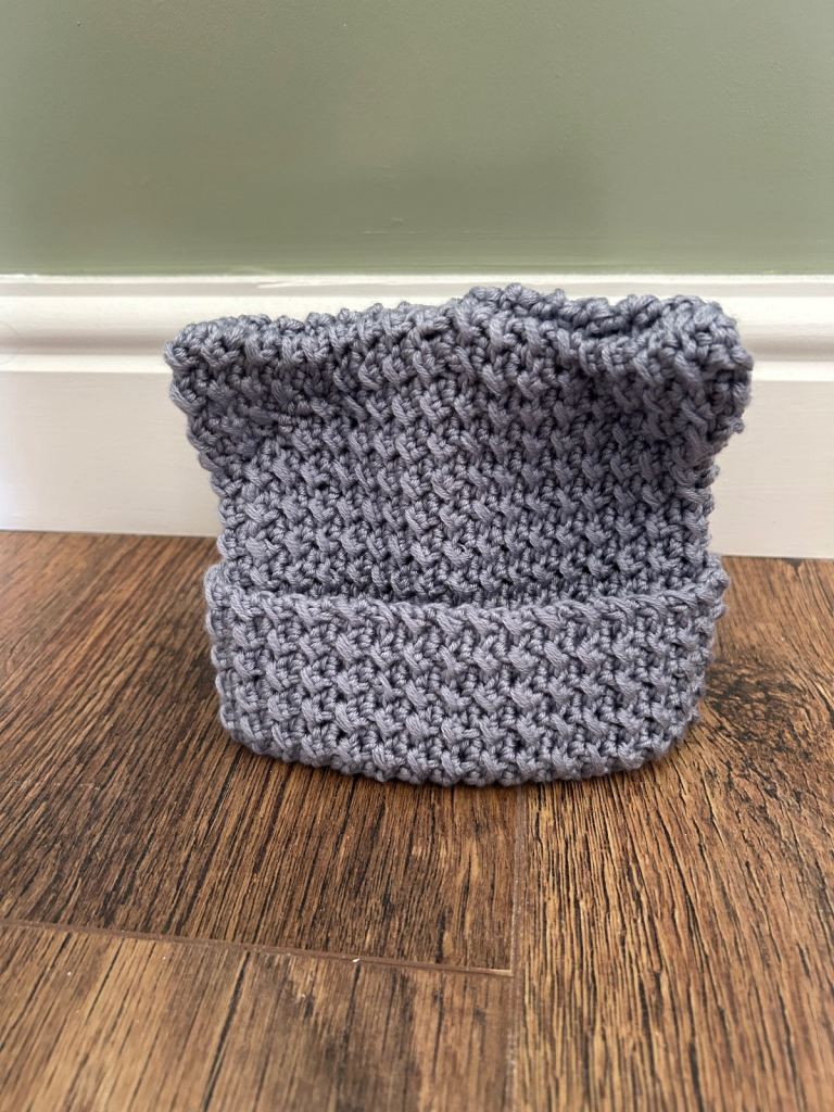 Hand made crochet kitten ears baby hat
