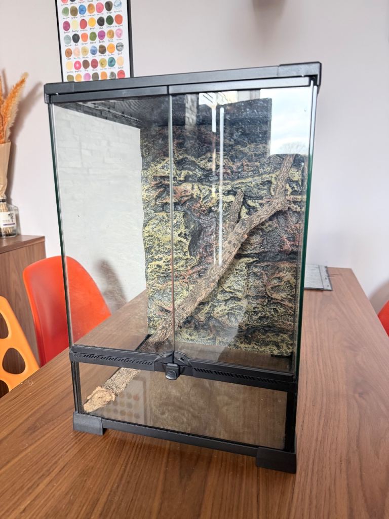 Reptile/insect terrarium