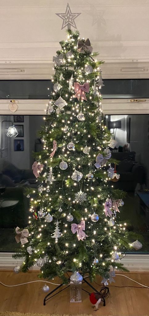  Christmas decorations and 700 lights