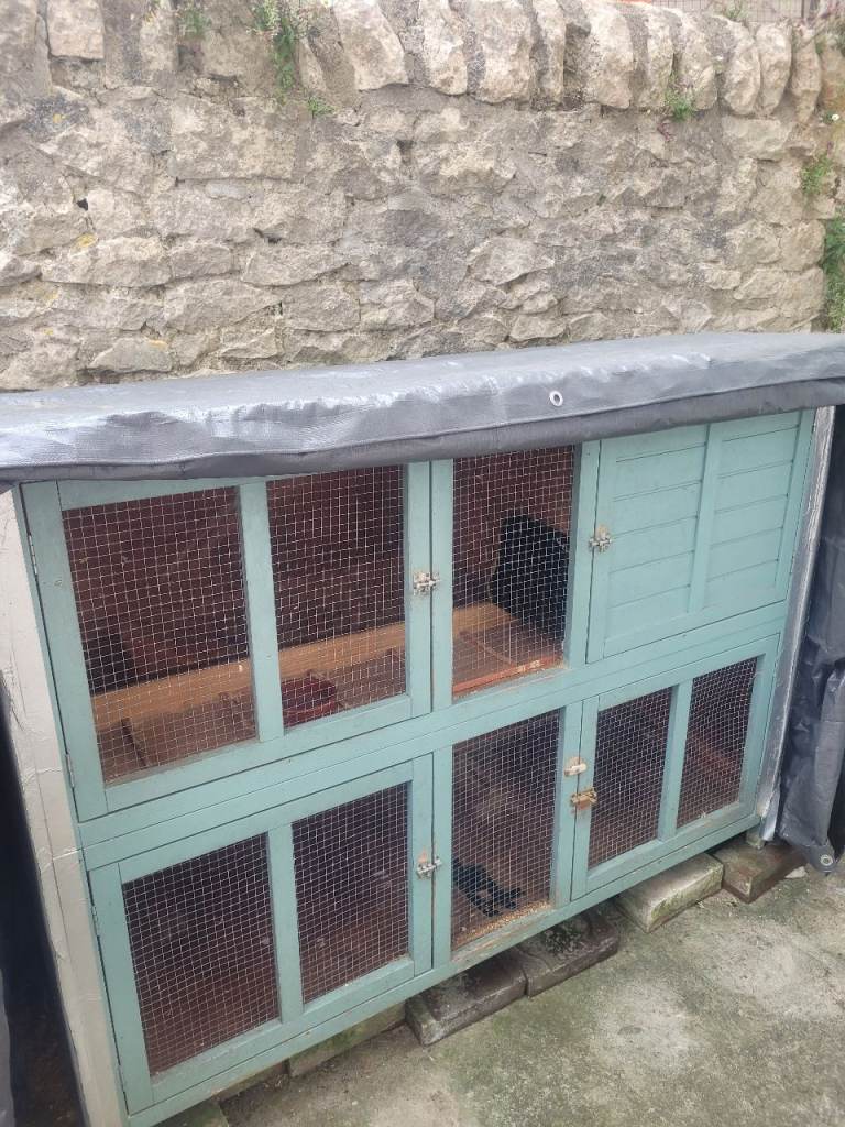 Rabbit/Guinea pig Hutch