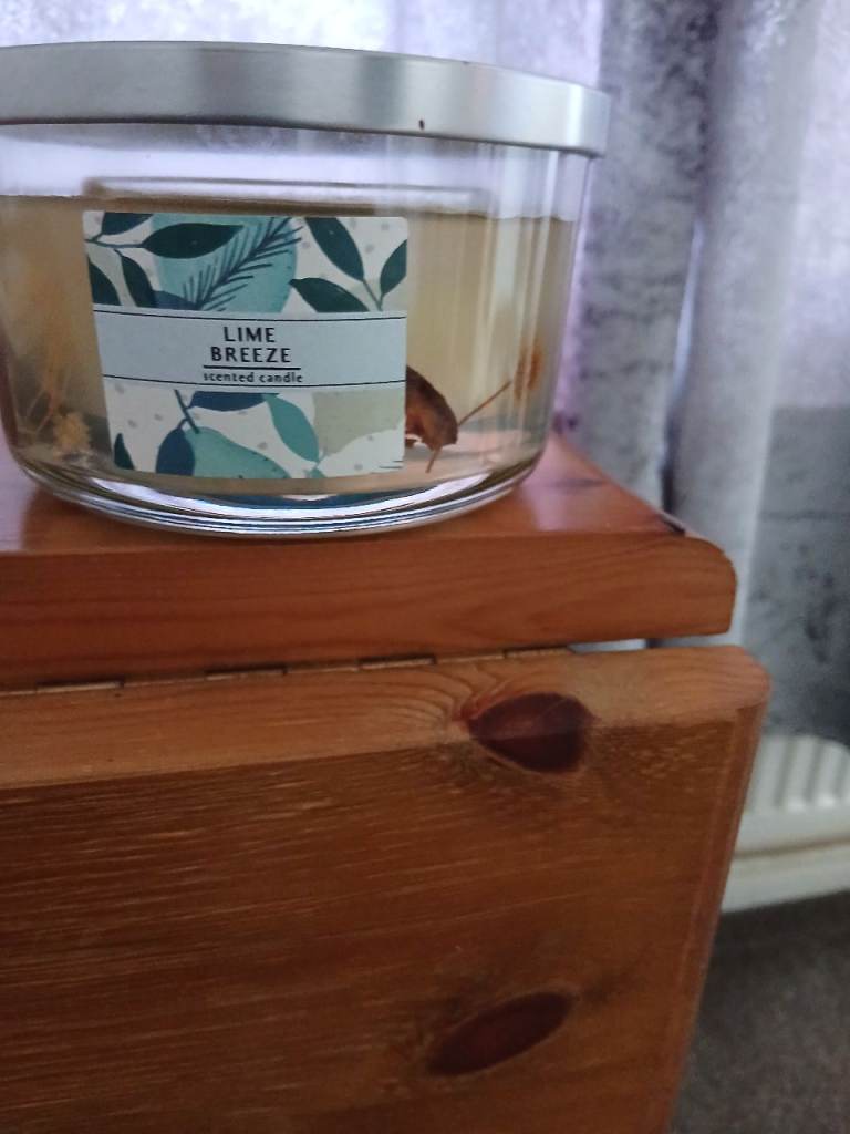 Lime Breeze Scented Candle in Glass Jar