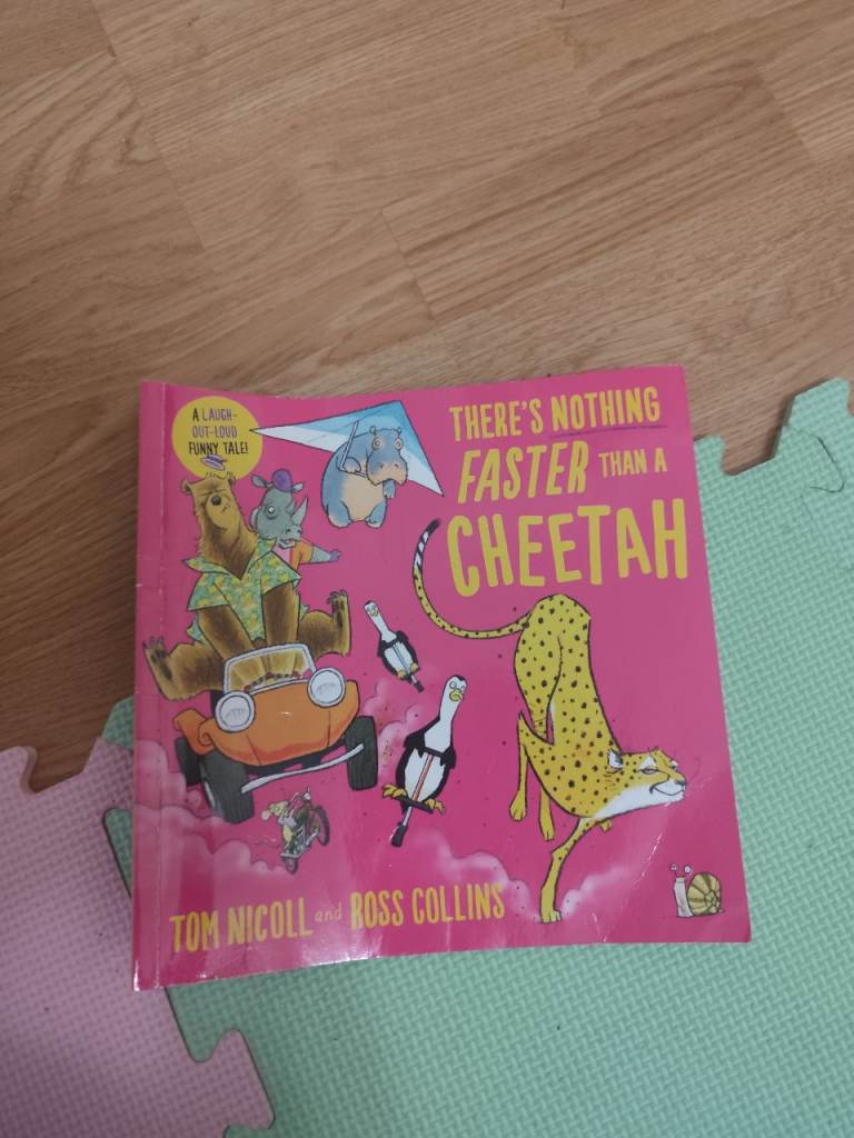 Children's Book: There's Nothing Faster Than a Cheetah – Good Condition