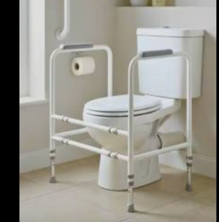 Mobility toilet frame