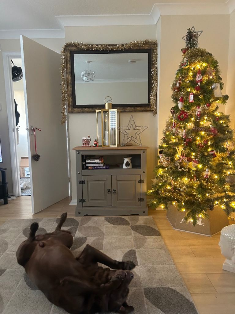 Pre lit Christmas tree 5ft