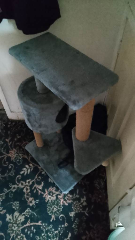 Cat scratcher 
