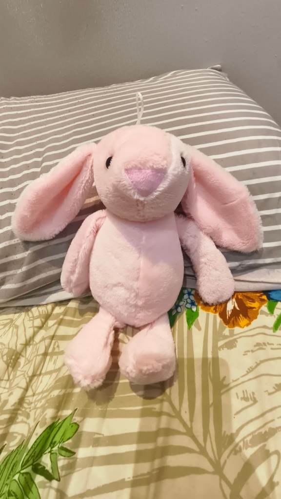 Jellycat 30cm Cute Soft Stuffed Animal Rabbit Plushie Long Ear Plush Toy Peluches Rabbit Bunny