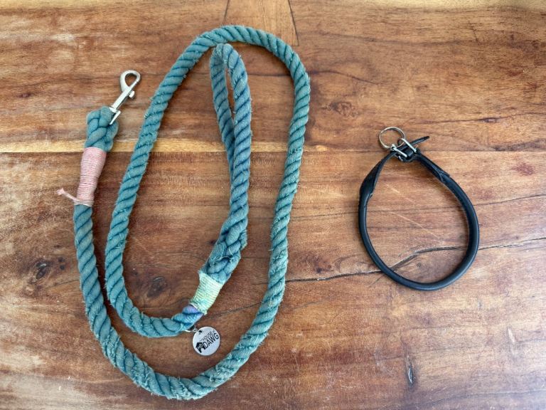 FREE lead and puppy collar
