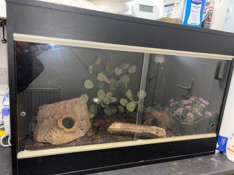 I’m 4ft vivarium