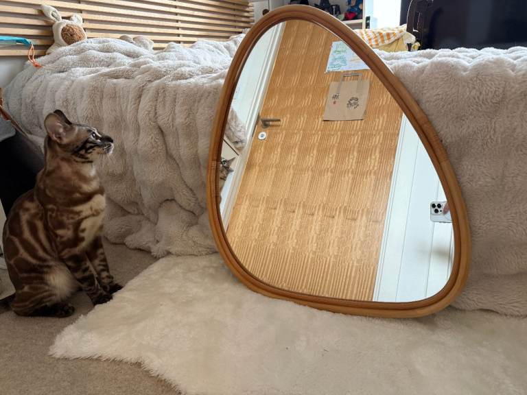IKEA pebble-shape mirror — light rattan/wood frame, lean style