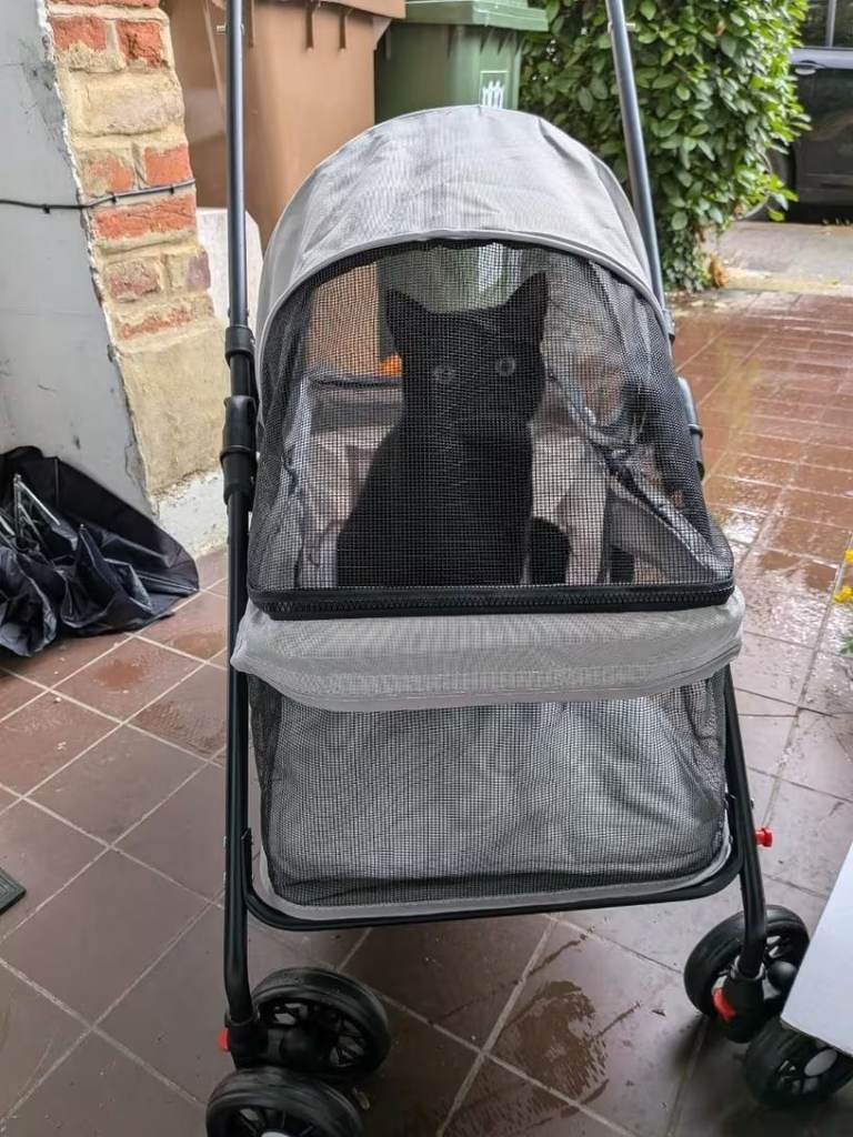 new with box Portable 4-wheel pet stroller with breathable mesh for small dogs and cats