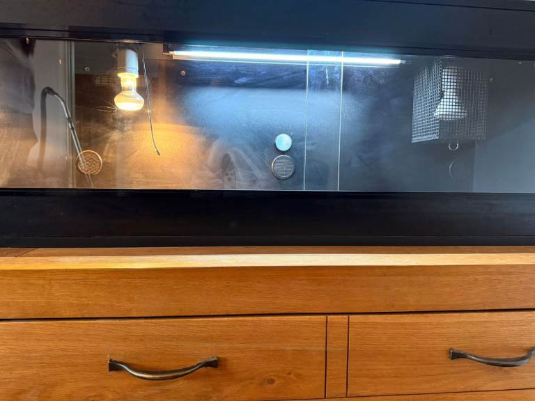 Bearded Dragon Vivarian Enclosure