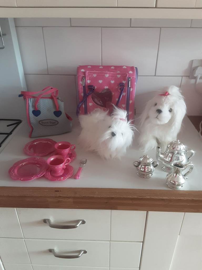 Pucci pups . Very  soft  puppies + two carry cases and a teaset 