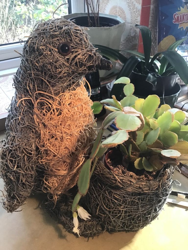 PENGUIN PLANT HOLDER