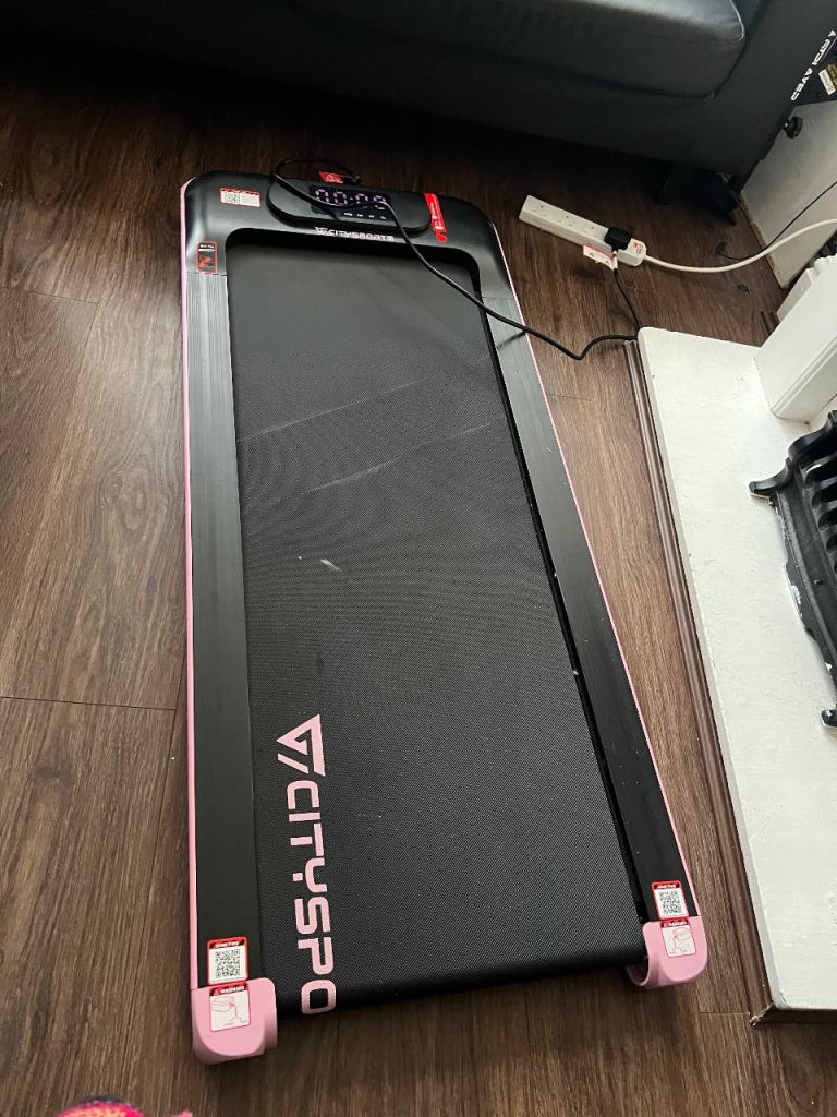  Treadmill walking excercise