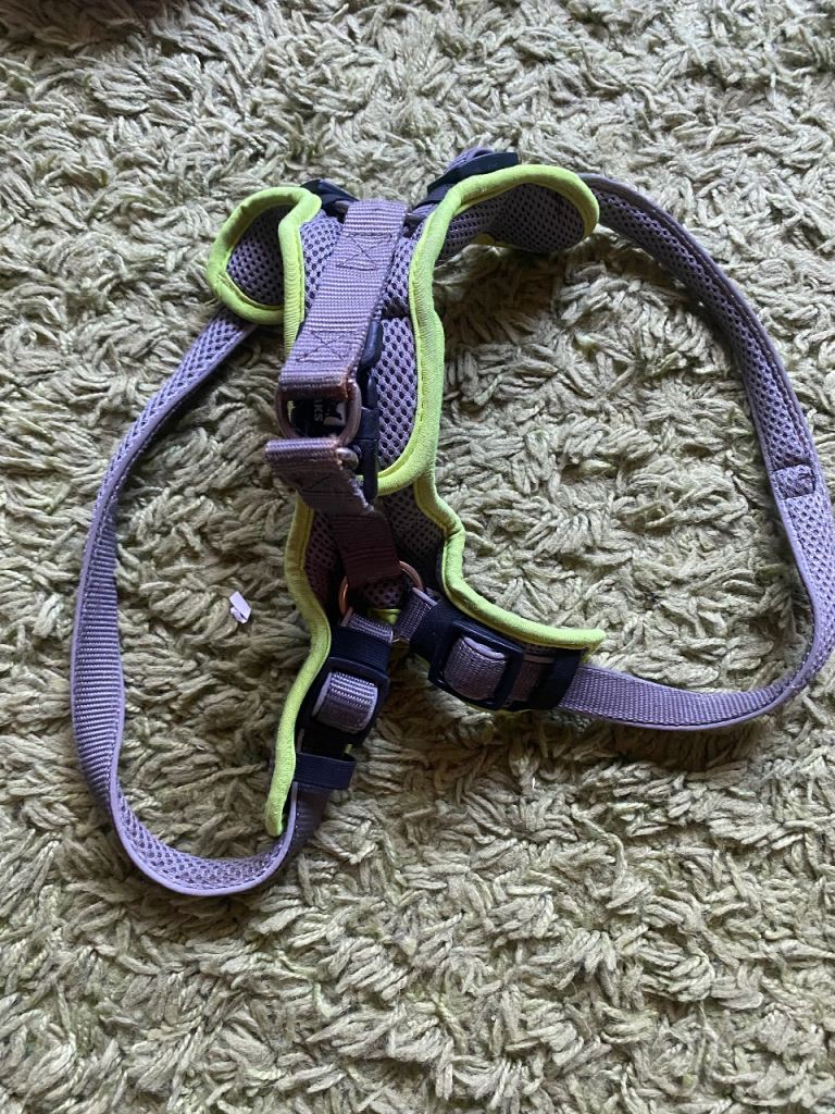 Dog harness