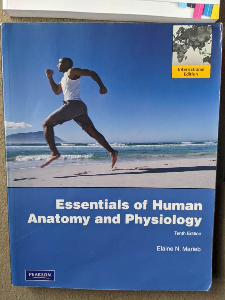 Essentials of Human Anatomy and Physiology 10th Ed. Marieb Pearson
