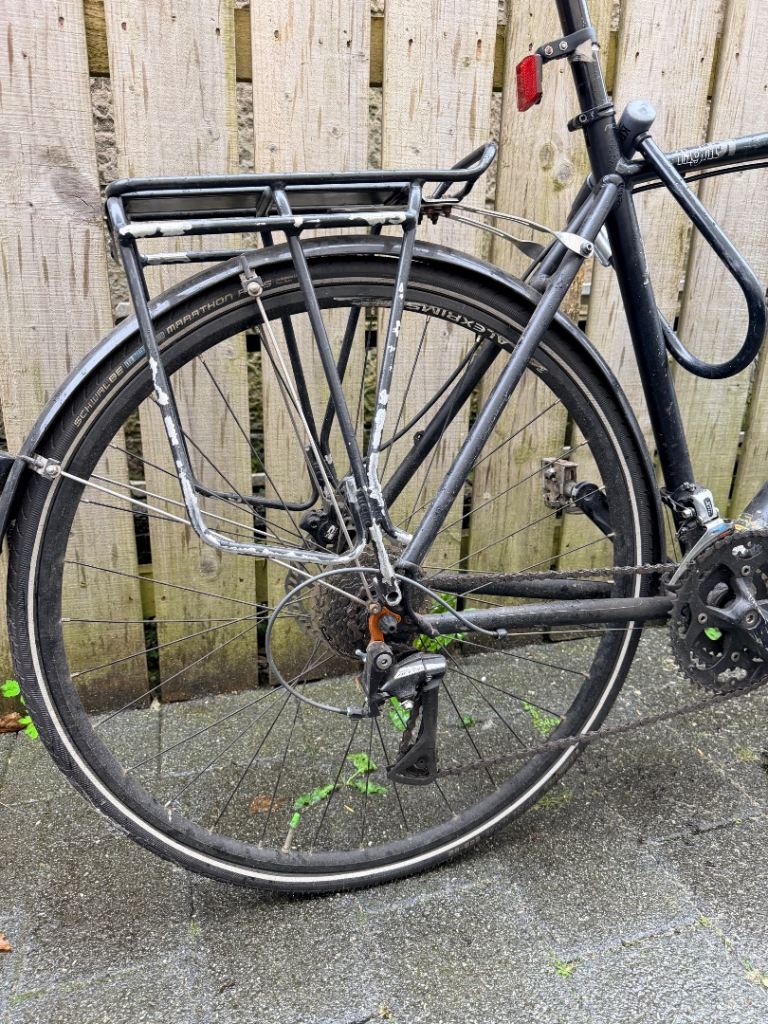 Ridgeback Flight Hybrid / Commuter Bike (L) for Sale