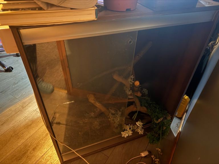 3ft x 3ft high vivarium 