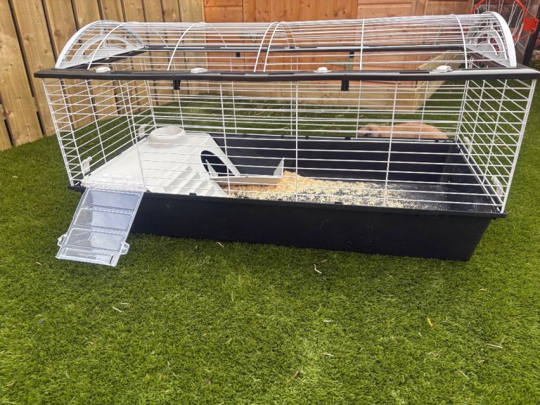 Rabbit / guinea pig hutch